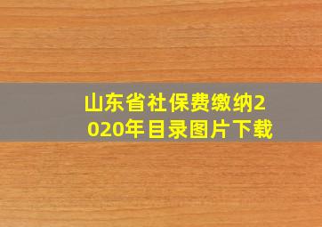 山东省社保费缴纳2020年目录图片下载