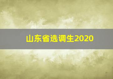 山东省选调生2020