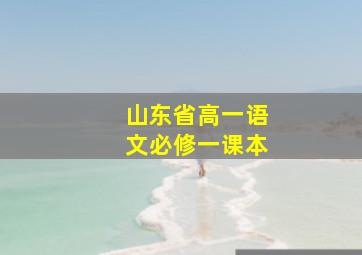 山东省高一语文必修一课本