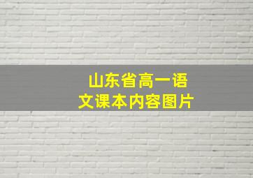 山东省高一语文课本内容图片