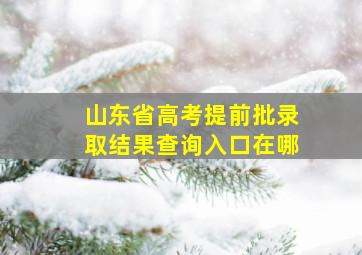 山东省高考提前批录取结果查询入口在哪