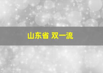 山东省 双一流