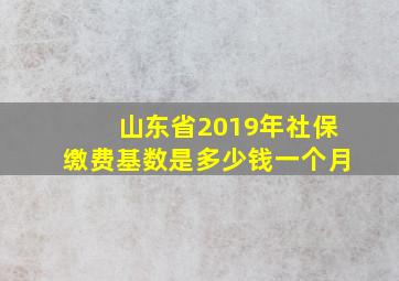 山东省2019年社保缴费基数是多少钱一个月