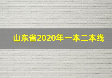 山东省2020年一本二本线