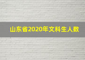 山东省2020年文科生人数