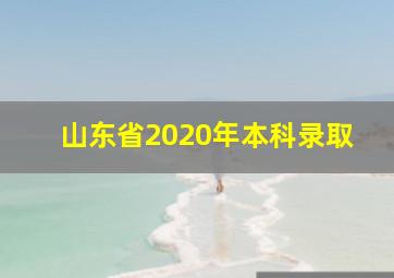 山东省2020年本科录取