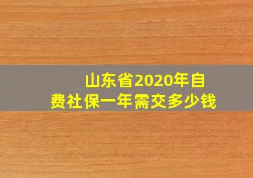 山东省2020年自费社保一年需交多少钱