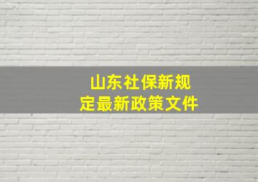 山东社保新规定最新政策文件