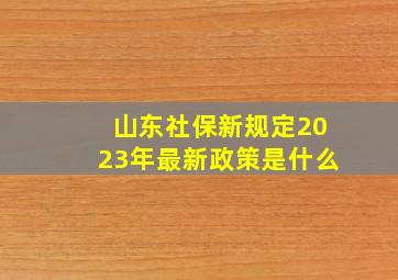 山东社保新规定2023年最新政策是什么