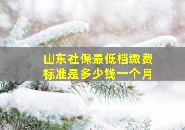 山东社保最低档缴费标准是多少钱一个月