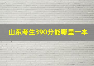 山东考生390分能哪里一本