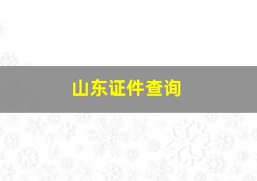 山东证件查询