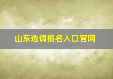 山东选调报名入口官网