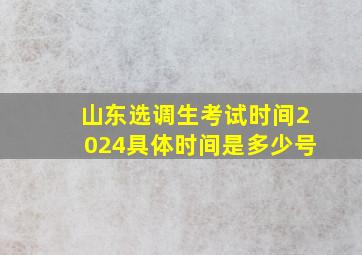 山东选调生考试时间2024具体时间是多少号