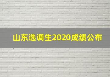 山东选调生2020成绩公布