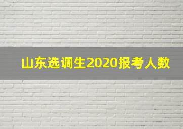 山东选调生2020报考人数