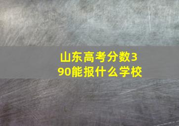 山东高考分数390能报什么学校