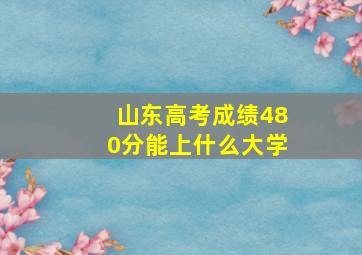 山东高考成绩480分能上什么大学