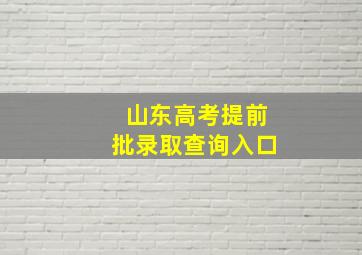 山东高考提前批录取查询入口