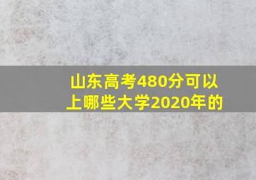 山东高考480分可以上哪些大学2020年的