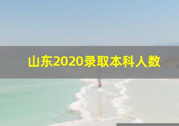 山东2020录取本科人数