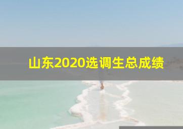 山东2020选调生总成绩