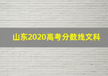 山东2020高考分数线文科