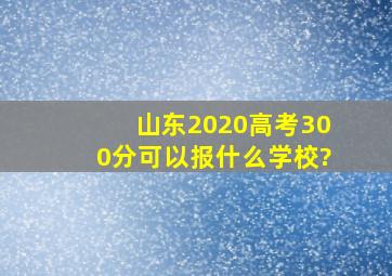 山东2020高考300分可以报什么学校?