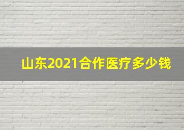 山东2021合作医疗多少钱