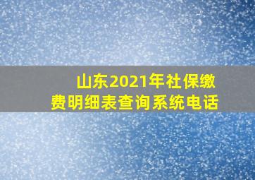 山东2021年社保缴费明细表查询系统电话