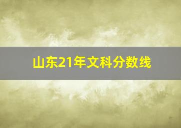 山东21年文科分数线