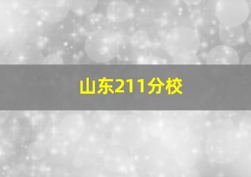 山东211分校