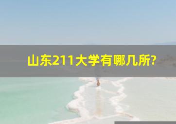 山东211大学有哪几所?