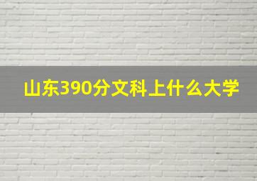 山东390分文科上什么大学