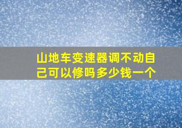 山地车变速器调不动自己可以修吗多少钱一个