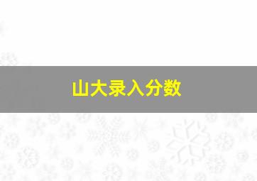 山大录入分数