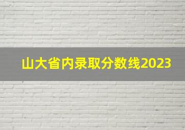 山大省内录取分数线2023