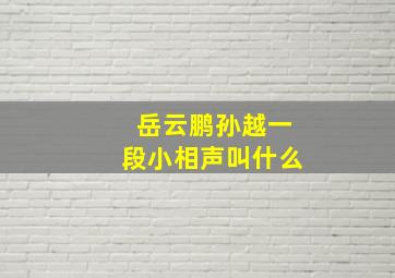 岳云鹏孙越一段小相声叫什么