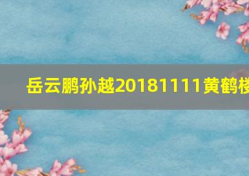 岳云鹏孙越20181111黄鹤楼