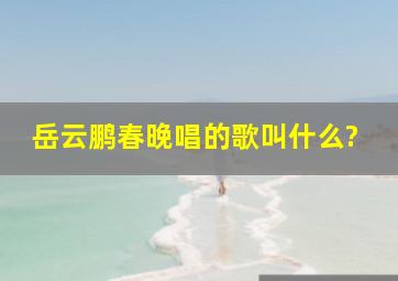 岳云鹏春晚唱的歌叫什么?