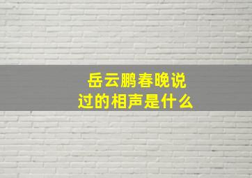 岳云鹏春晚说过的相声是什么