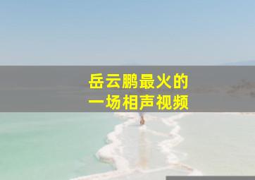 岳云鹏最火的一场相声视频