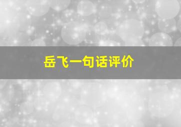 岳飞一句话评价