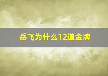 岳飞为什么12道金牌