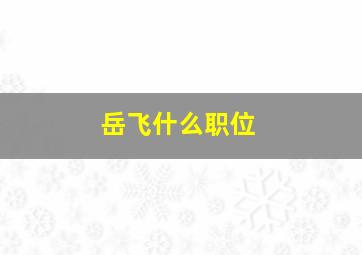 岳飞什么职位