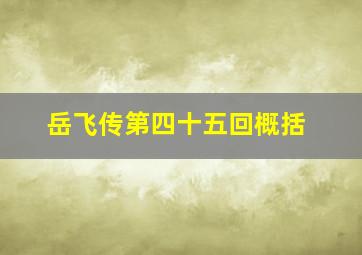 岳飞传第四十五回概括