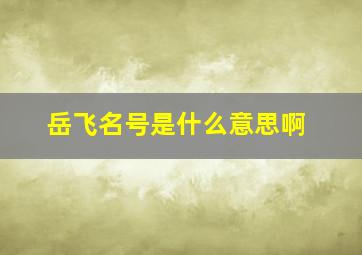 岳飞名号是什么意思啊