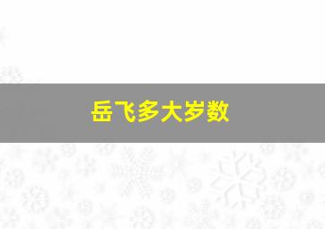 岳飞多大岁数