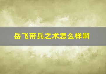 岳飞带兵之术怎么样啊