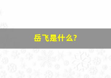 岳飞是什么?